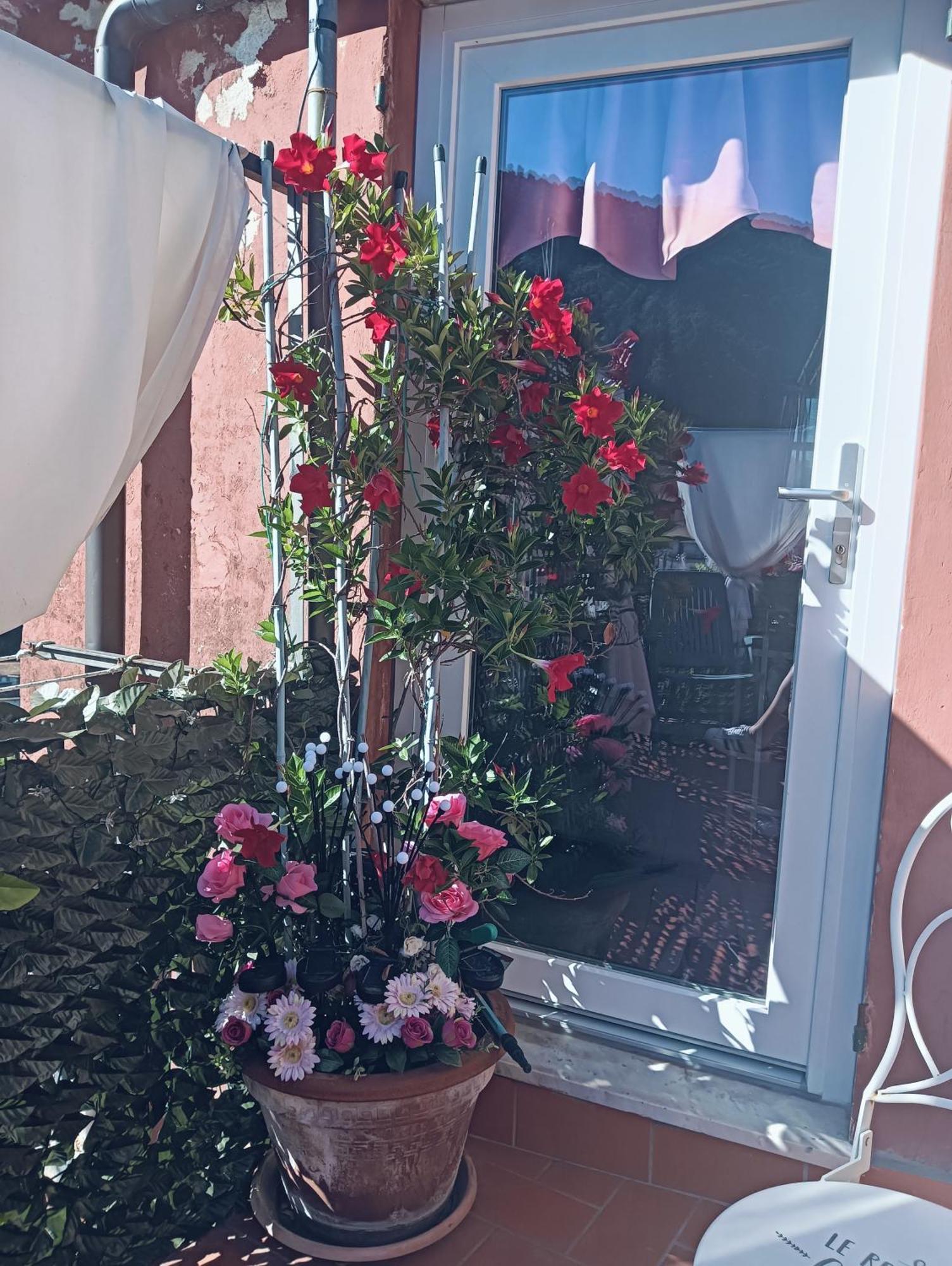 La Terrazza Di Ameglia Alta Apartment Luaran gambar